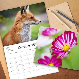 Calendriers