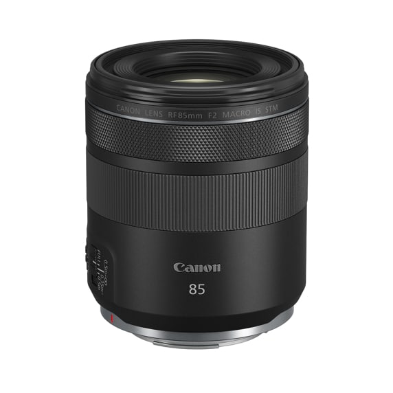 RF 85mm f/2 MACRO IS STM