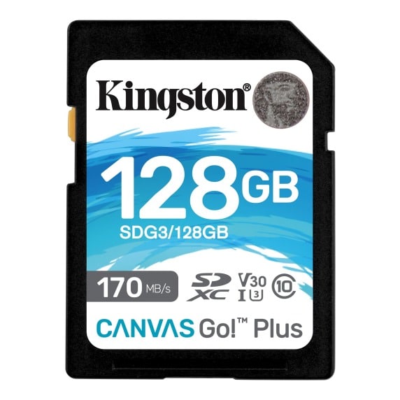 SDXC 128GB Canvas Go Plus