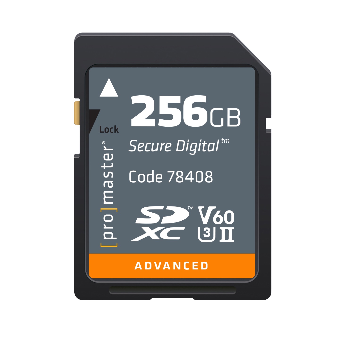 SDXC 256GB Advanced UHS-II V60